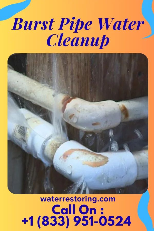 Burst Pipe Water Cleanup in South Coventry, CT