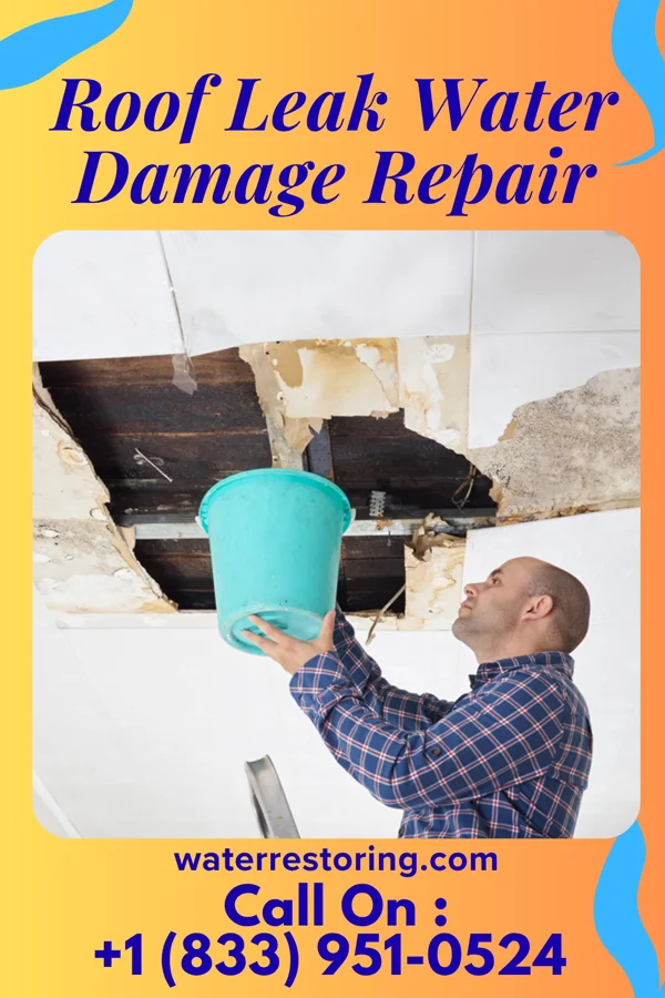 Roof Leak Water Damage Repair in South Coventry, CT